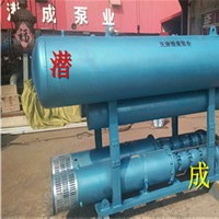 天津140KW浮筒式潜水泵-浮筒式潜水泵型号- 浮筒泵厂家