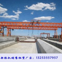 福建南平门式起重机厂家跨度43米100吨龙门吊两台发货