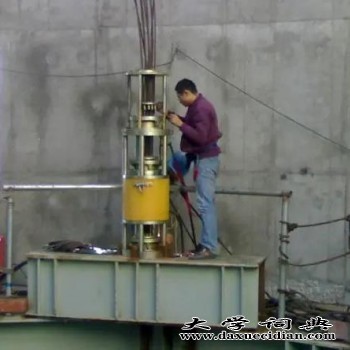 广东液压提升设备生产厂家/鼎恒液压机械供应液压提升器