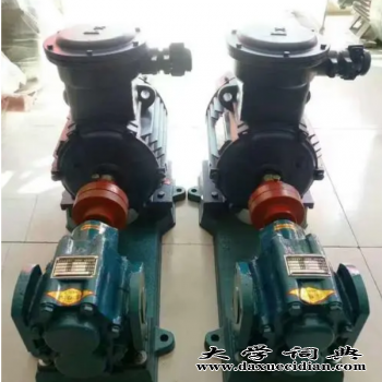 沧州渤海油泵实体生产厂ysb100液压油泵十大排名-洛南县图3