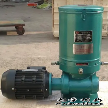 中国河北省沧州渤海泵业制造有限公司反措 直流油泵价廉物美图1