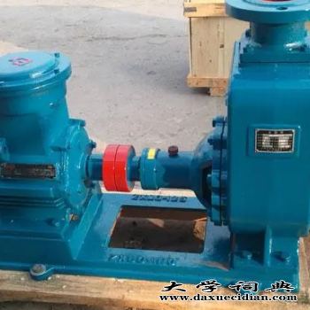 中国河北省沧州渤海泵业制造有限公司反措 直流油泵价廉物美图3