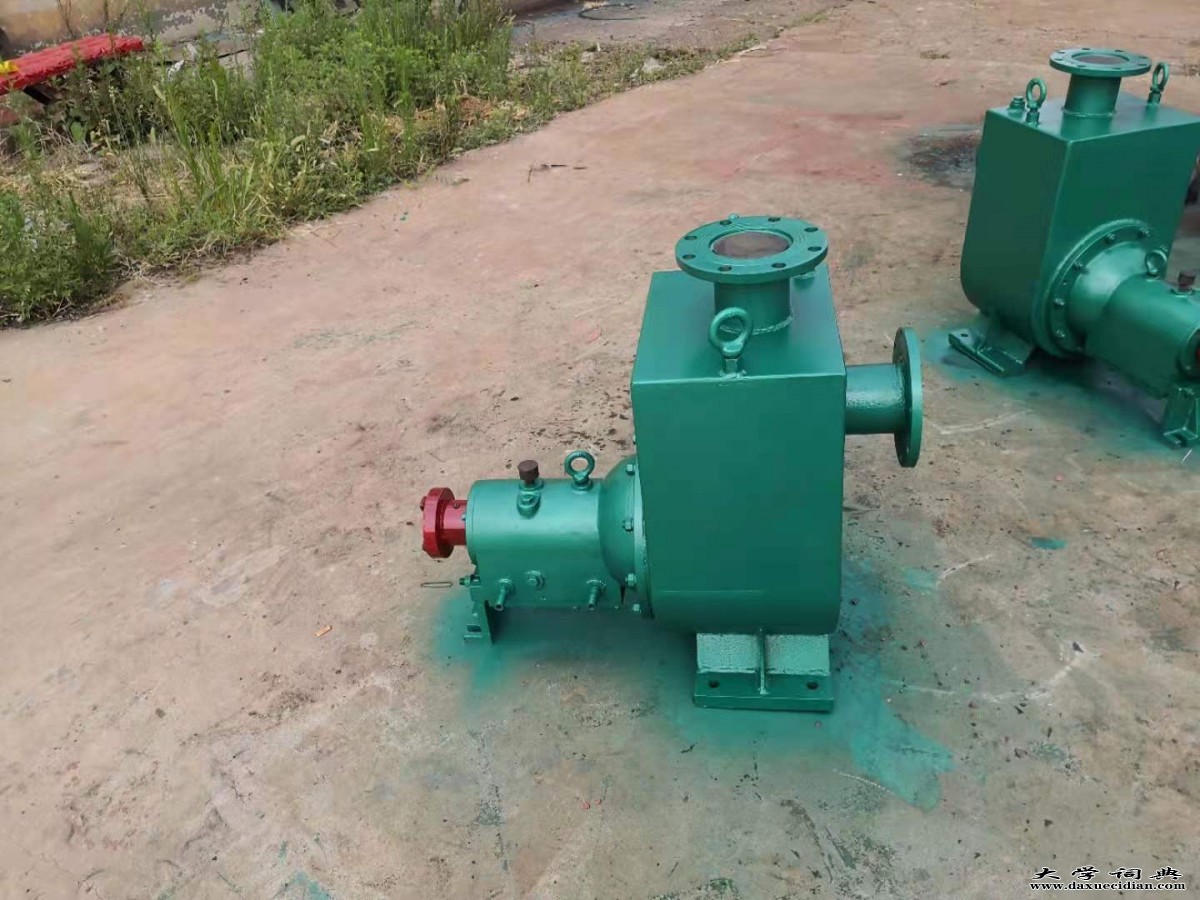 河北省沧州渤海油泵实体生产厂gtl柴油泵调节便宜