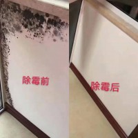 广州上门除霉公司，墙面天花板霉斑免费b2b，防霉处理
