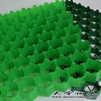 HDPE塑料植草格 园林绿化停车厂高抗压草坪格图1